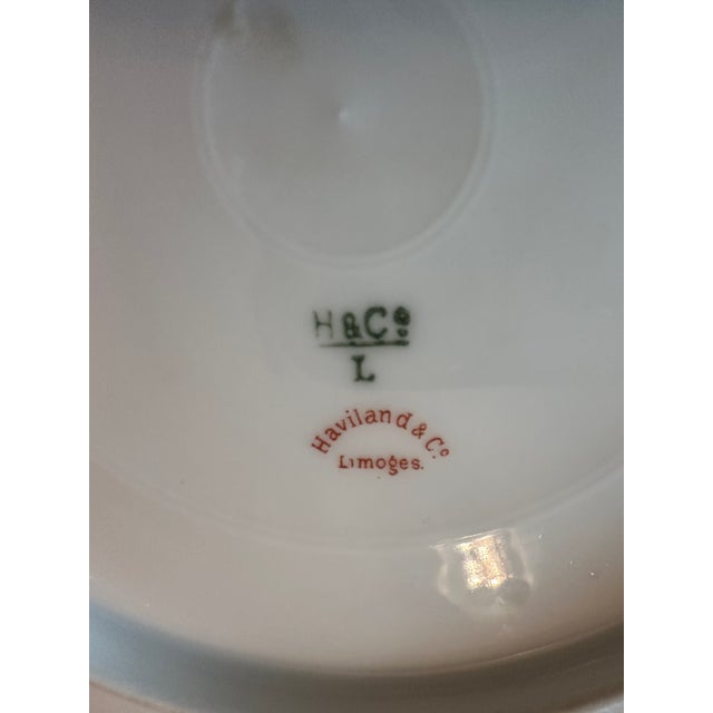 French Late 19th Century Haviland Limoges Fish Service. Platter, Sauce, 14 Plates - 14 pcs For Sale - Image 3 of 10