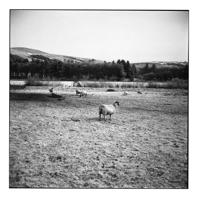 Paul Cooklin, the Peak District Print, Edition of 10 Edition of 50 For Sale