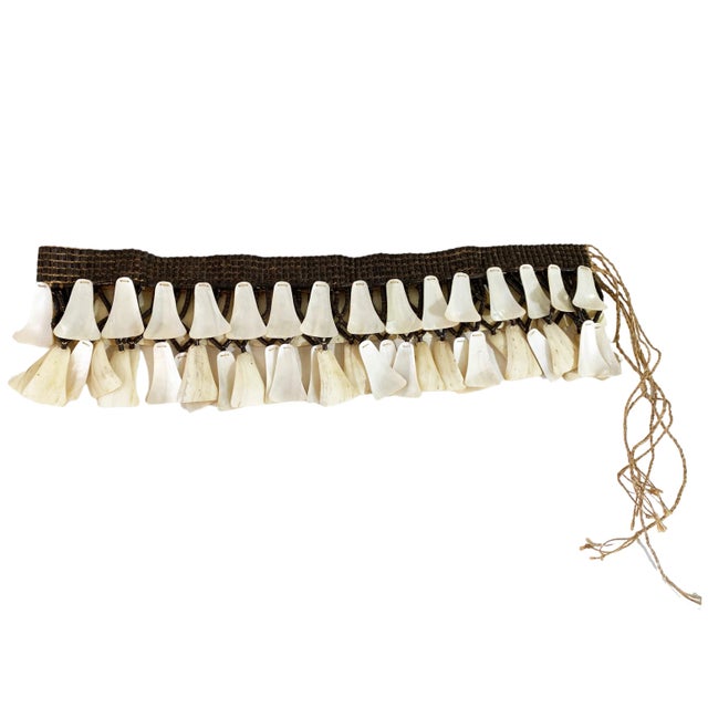 Unique Ornamental Piece Brazilian by the Mamaindê Tribe 49" W For Sale - Image 4 of 13