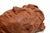 Sirio Pellegrini, Portrait Sculpture, Modern Style, 1960s, Terracotta For Sale - Image 4 of 5