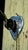 Early 20th Century Prometheus Articulated Dental Lamp For Sale - Image 10 of 10