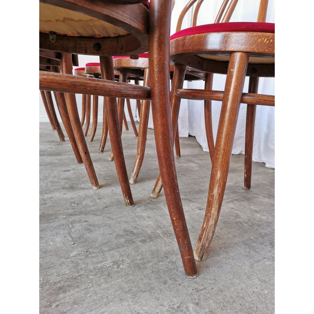 Vintage Bentwood Bistro Chairs, 1970s, Set of 8 For Sale - Image 16 of 18