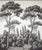 36" * H96" * 2ps, Hand-Painted Vintage Greyscale Pine Tree Scenic Wall Mural, Tuscan Forest Landscape Wall Decor For Sale - Image 4 of 4