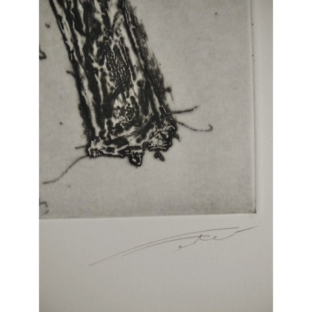 Joaquim Falcó, Untitled, 2010, Print on Paper, Framed For Sale - Image 4 of 6
