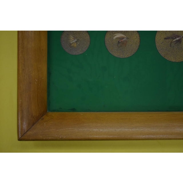 Mid 20th Century Mid 20th Century Custom Framed & Mounted Trout Flies For Sale - Image 5 of 7