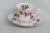 Royal Albert Bone China Canada From Sea to Sea Tea Cup and Saucer Set For Sale - Image 13 of 13