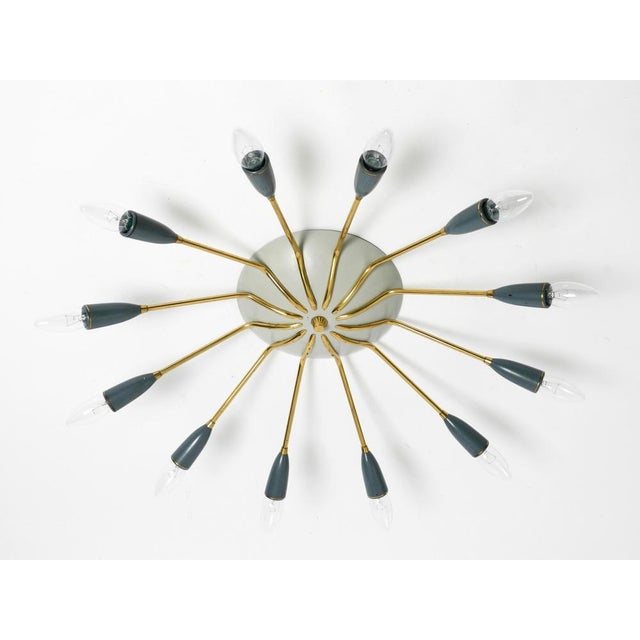 Metal Large Mid-Century Modern 12-ArmedBrass Sputnik Ceiling Lamp, 1950s For Sale - Image 7 of 17