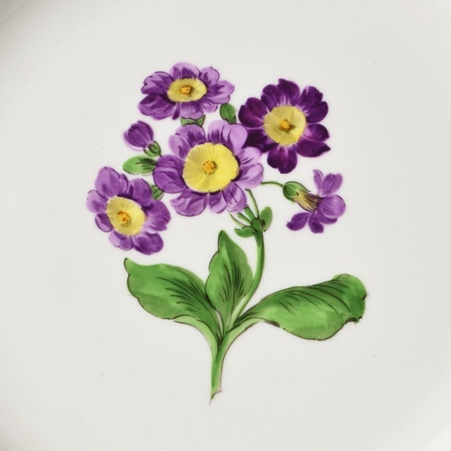 Ceramic Hand-Painted Porcelain Plate from Meissen, 1960s For Sale - Image 7 of 11