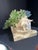 Celestial Meets the Sea Succulent Arrangement For Sale - Image 4 of 6
