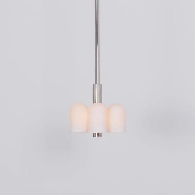 Contemporary Odyssey 6 Polished Nickel Pendant Light by Schwung For Sale - Image 3 of 5