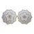 Set of 2 Antique Franziska Hirsch Dresden Porcelain Polychrome Scalloped Floral Plates For Sale
