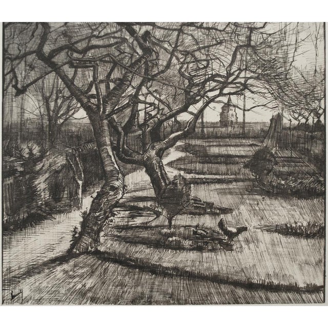 1959 Vincent Van Gogh The Garden Of Nuenen In Winter First