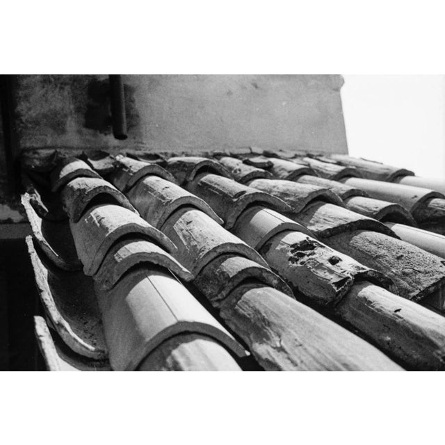 :: Original photograph by Old New House co-owner Melissa Lynn Dilmaghani, who graduated with a Bachelor's Degree in Cinema...