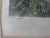 China View Amoy From the Ko Long Soo Antique 19thc Thomas Allom Steel Engraving For Sale In Portland, OR - Image 6 of 8