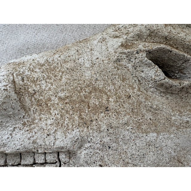 Sculpture - Guernica Horse After Picasso For Sale In New York - Image 6 of 8