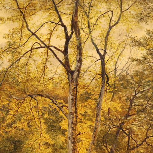 Wooden Landscape, 19th Century, Oil on Canvas, Framed For Sale - Image 7 of 13