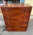 Mid 20th Century Founders Modern Walnut Chest of Drawers For Sale - Image 10 of 14