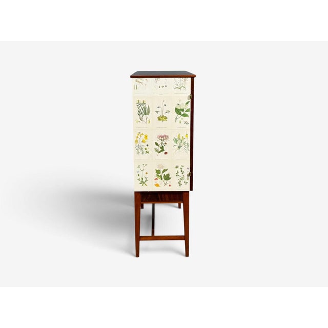 Swedish Modern, Nordens Flora Cabinet, Birch, Floral Lithographs, Sweden, 1940s For Sale - Image 14 of 16
