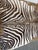 5ft 1in × 5ft 8in Zebra Printed Hair on Hide Area Rug For Sale - Image 12 of 12