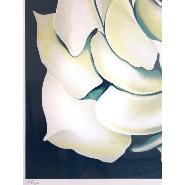 Lowell Nesbitt White Rose Limited Edition Lithograph in Custom Frame, Circa 1981 For Sale In Miami - Image 6 of 13