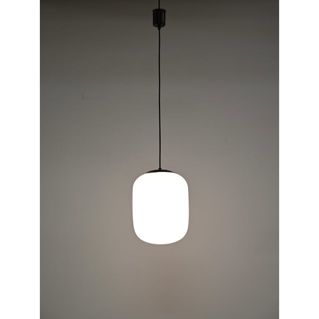 Mid-Century Pendants in Opaline Glass and Metal from Stilnovo, Italy, 1960s, Set of 2 For Sale - Image 11 of 12