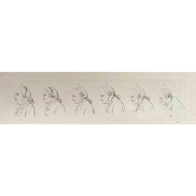 Head of a Man Throughout the Years is an original artwork realized by Thomas Holloway for Johann Caspar Lavater's "Essays...