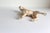 Vintage Ceramic Boxer Dog Figurine Porcelain Canine For Sale - Image 4 of 6