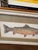 Vintage Framed Trout Fish Prints Cabin Coastal Wall Art - A Pair For Sale - Image 10 of 11