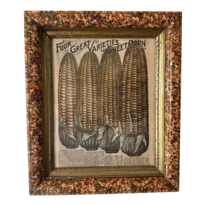1940s Early Framed Newspaper Article on Sweet Corn