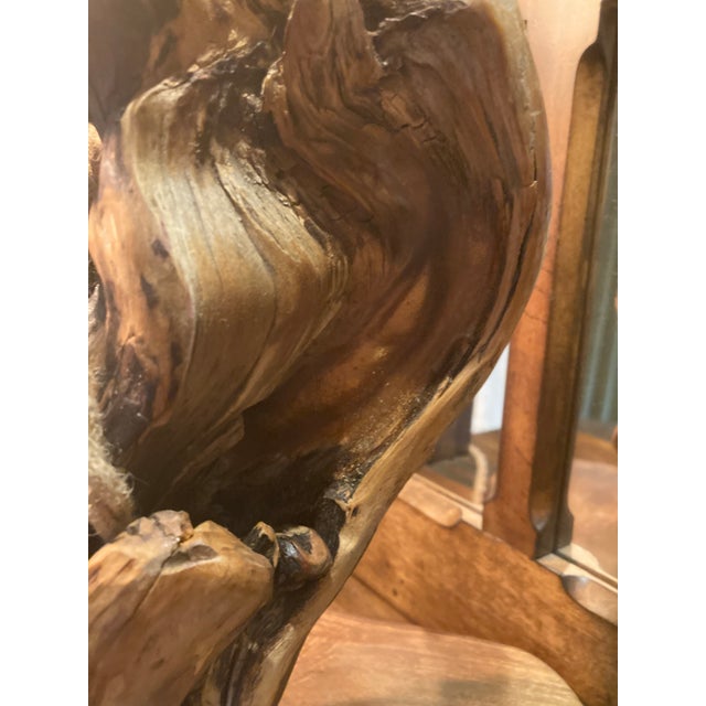 Brown Tree Table Lamp With Live Edge Base and Root Upper. For Sale - Image 8 of 16