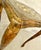 Vintage Mid-Century Italian Florentine Neoclassical Giltwood Rectangle Table With Cabriole Legs For Sale - Image 4 of 12
