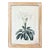 Illustration Wood Framed Wall Decor Floral - Set of 4 For Sale - Image 3 of 6