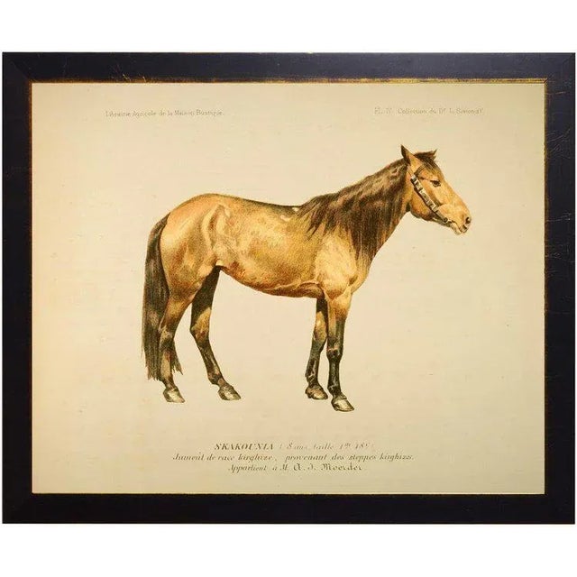 Rustic Whitney the Horse Bookplate 26x20 For Sale - Image 3 of 3