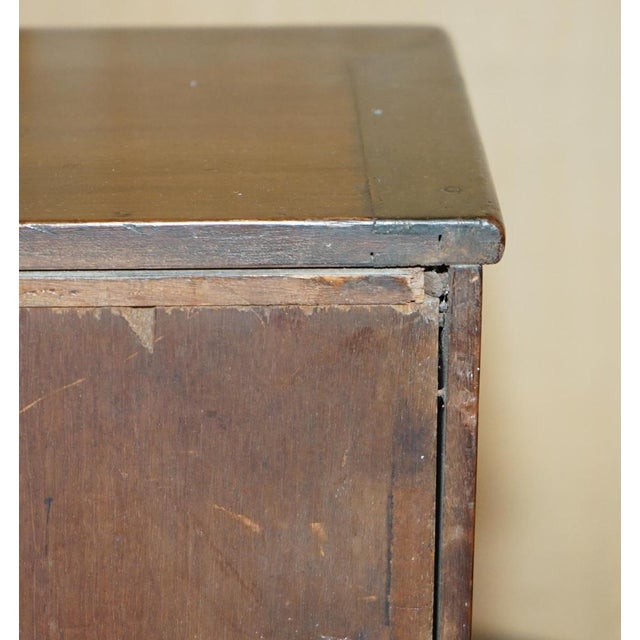Georgian Sheraton Collectors Cabinet, 1820s For Sale - Image 15 of 18