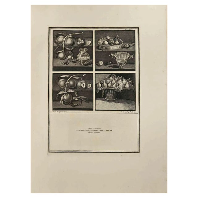 Carlo Oraty, Roman Style Still, Etching, 18th Century For Sale