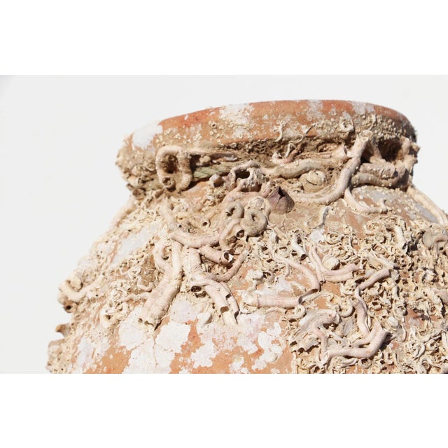 Ceramic 19th Century Antique Terracotta Octopus Trap Undersea Pot For Sale - Image 7 of 13