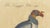 Early 19th Century Karl Joseph Brodtmann, King Vulture, Griffon Vulture & Bearded Vulture, 1816, Lithograph For Sale - Image 5 of 9