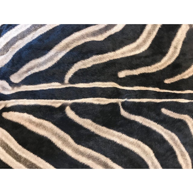 Equus Burchell Zebra Skin Rug 5′ × 7′8″ Chairish