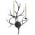 Chapman & Myers for Visual Comfort Signature Branch Sconce in Aged Iron For Sale