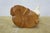 Wood Mid 20th Century Justa Carved Buffalo Horn Bird Figurine on Wood Base MCM Sculpture For Sale - Image 7 of 11