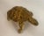 Metal Circa 1970 Turtle Brass Sculpture, French For Sale - Image 7 of 13