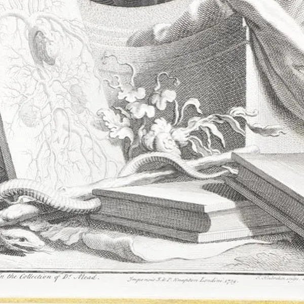 Set of Four Framed George Vertue Portrait Engravings in Neoclassical Gilt Frames For Sale - Image 12 of 12