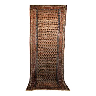 Vintage Persian Kurdish Bidjar Gallery Rug, Hand-Knotted Wool, Allover Paisley Design, Camelhair & Blue, 5x12 For Sale