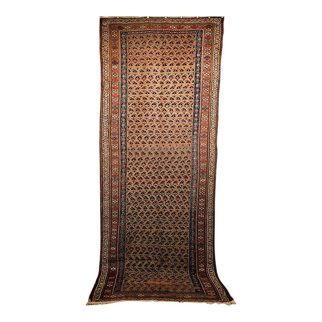 Vintage Persian Kurdish Bidjar Gallery Rug, Hand-Knotted Wool, Allover Paisley Design, Camelhair & Blue, 5x12 For Sale
