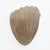 Mid-Century Modern Style Murano Glass Shell Sconces, 1990s, Set of 2 For Sale - Image 6 of 10