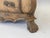 Mid 19th Century Dutch Provincial Bombé Chest of Drawers For Sale - Image 4 of 6