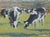 Original Oil Painting of Cows For Sale - Image 4 of 5