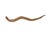 Tribal Vintage Tribal Naturalistic Carved Lg Snake Papua New Guinea 31" W For Sale - Image 3 of 6