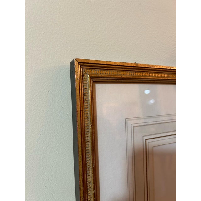 Vintage Framed Botanical Tulip Prints — A Pair For Sale In New York - Image 6 of 7