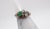Abstract Early 19th Century Emerald and Diamond Ring, Size 6.75 For Sale - Image 3 of 10